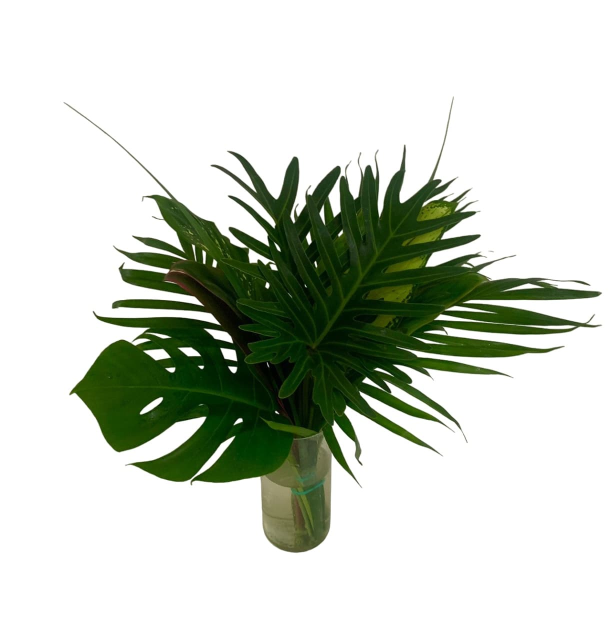 Bouquets Assorted Round - Medium Amazon 50 CM