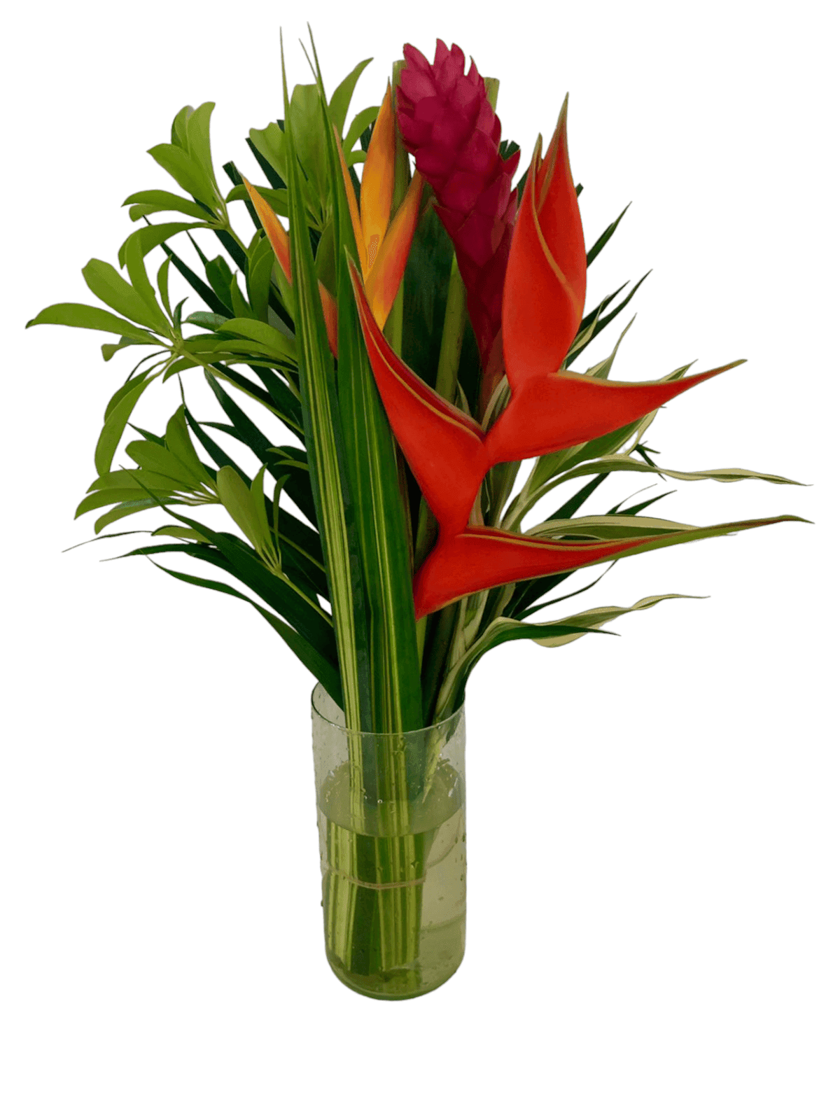 BQT Flat Harmony Assorted 57