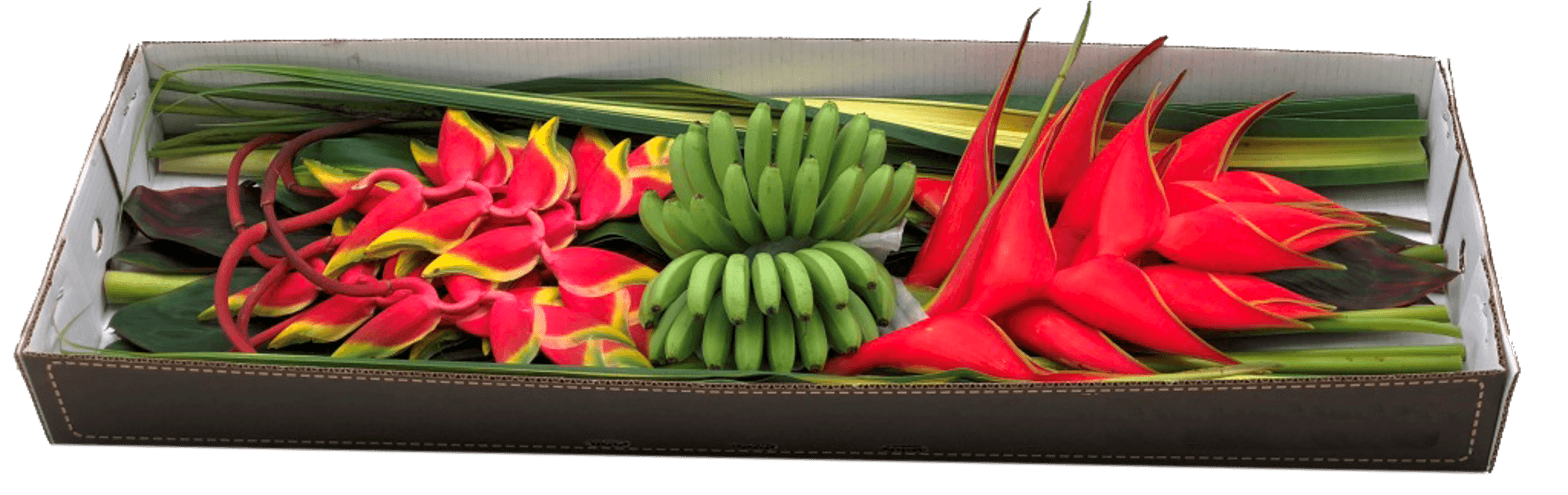 Combo Box Capricho Assorted