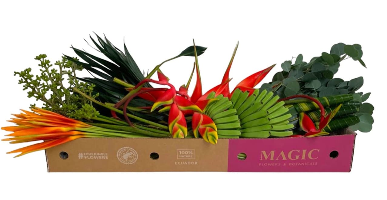 The Tiki Limbo Flower Kit Assorted