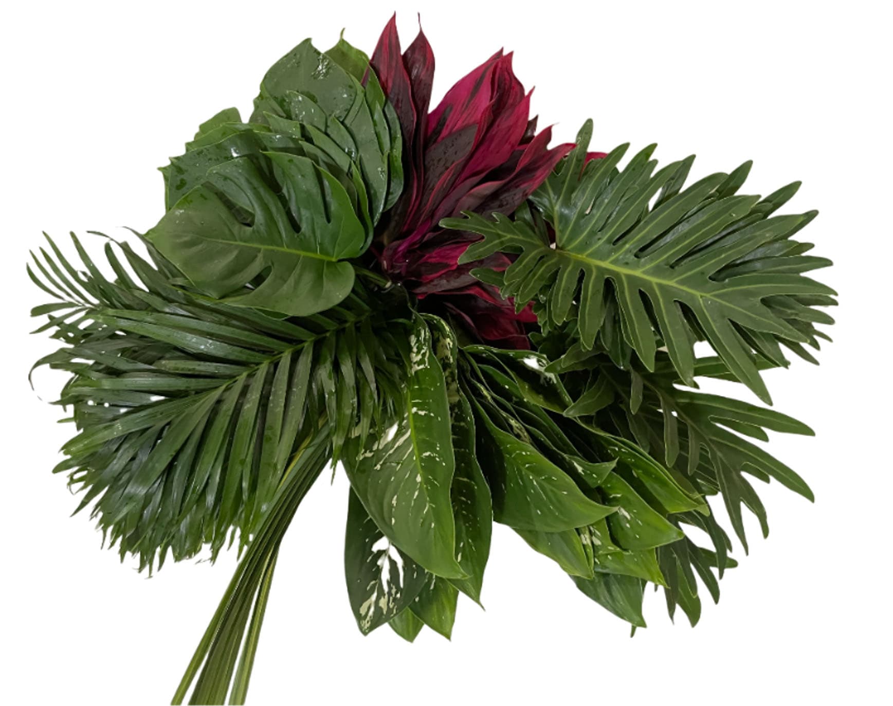 Foliage Mixes Amazon Green