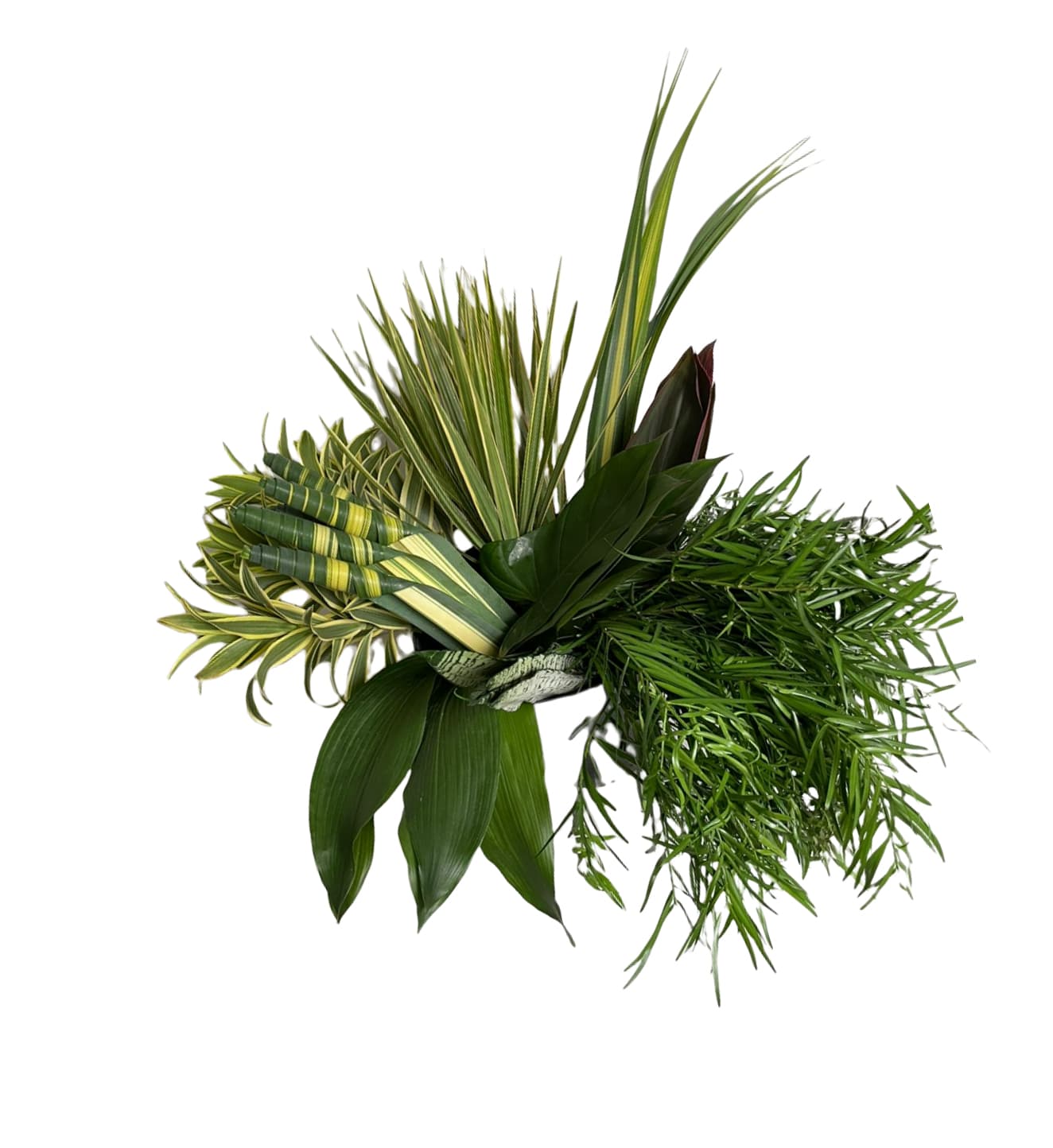 Combo Box Foliage Botanical Assorted