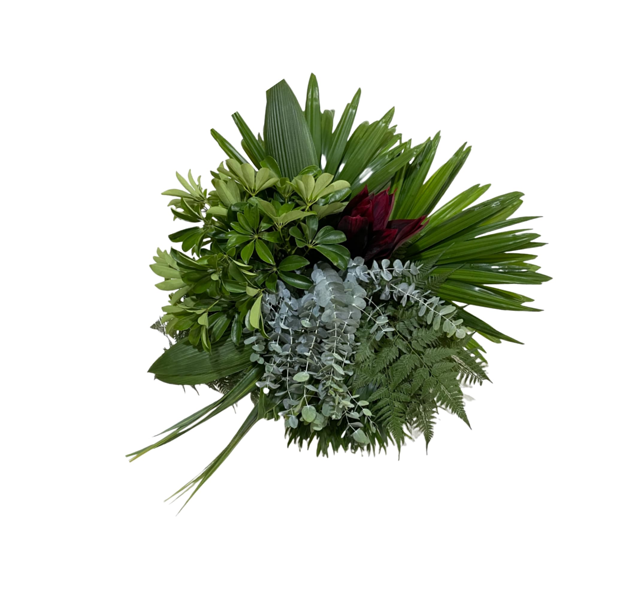 Combo Box Foliage Greenery Assorted