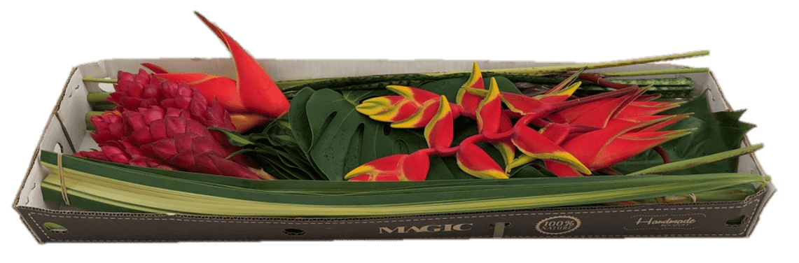 Combo Box Mini Fire Assorted