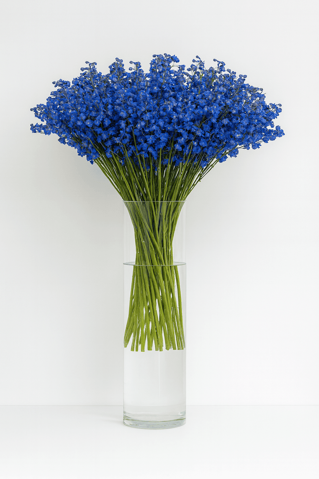 Larkspur