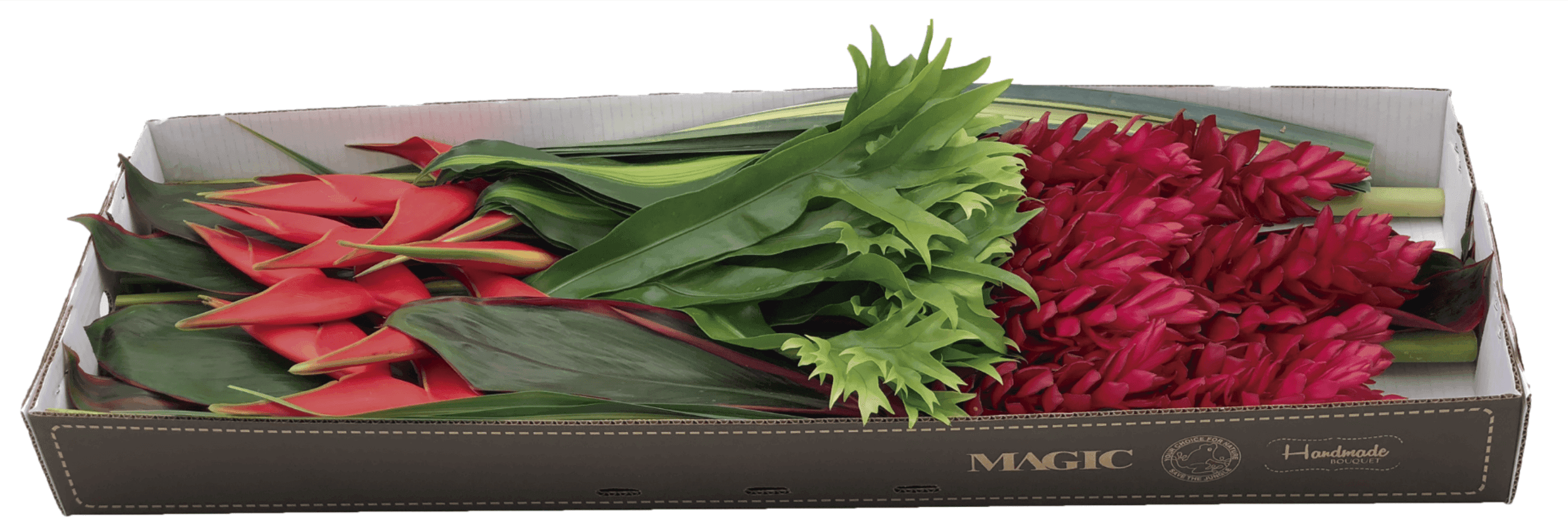 Tropical Mixes Escarlata Assorted