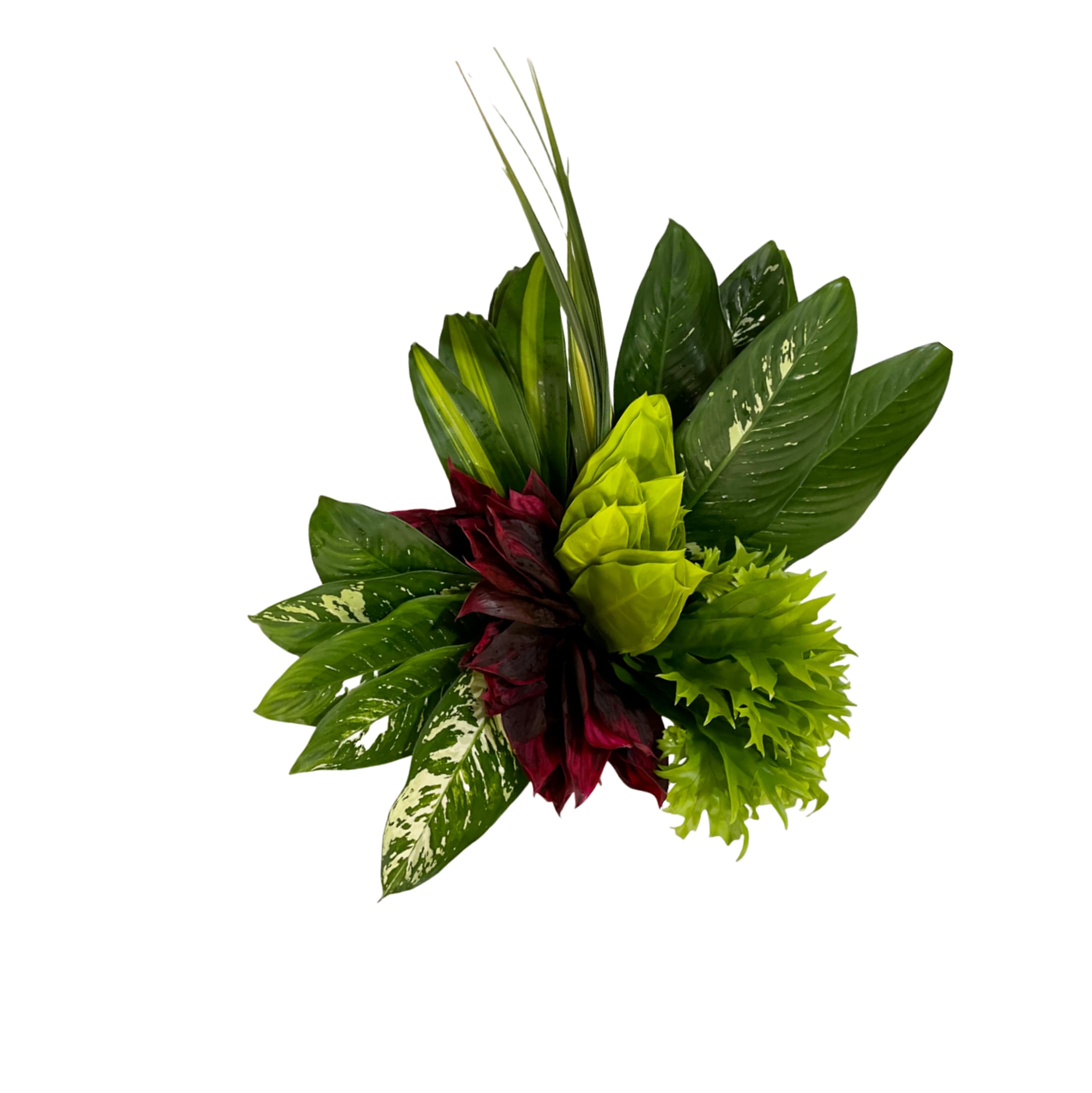 Bouquets Green Round - Plus Jungle 50 CM
