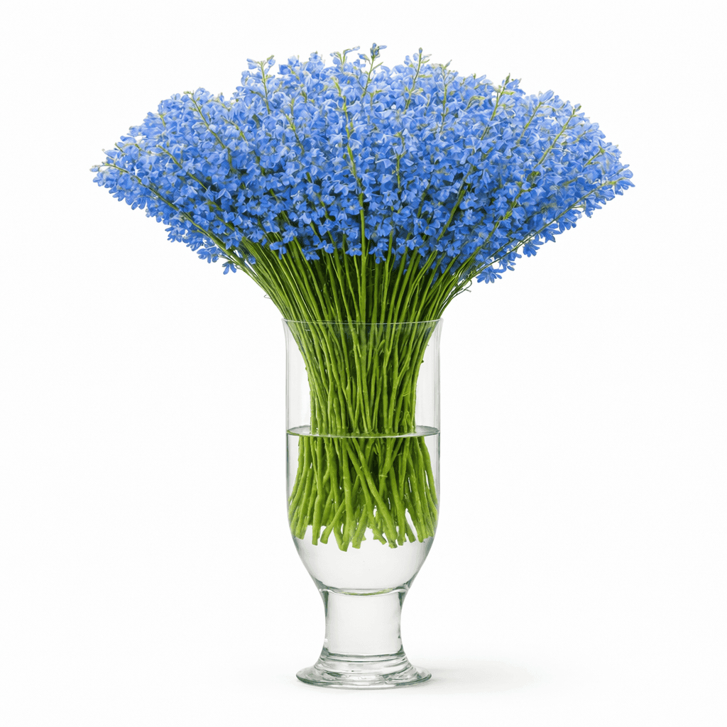 Sky Waltz Light Blue 60cm