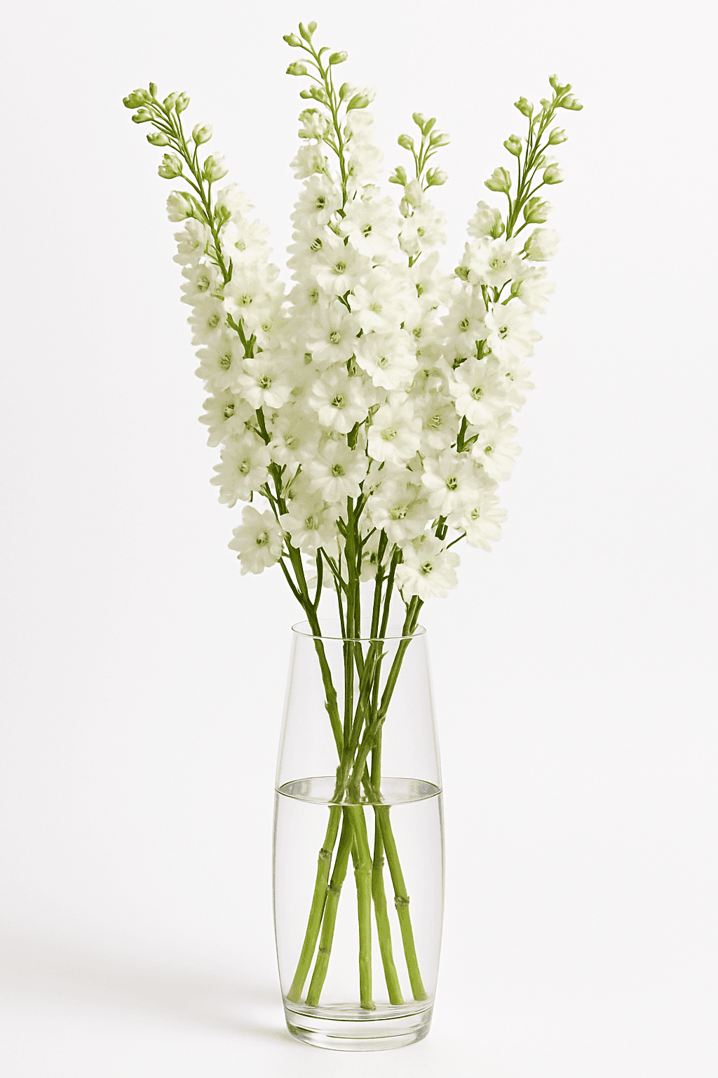 Galahad White