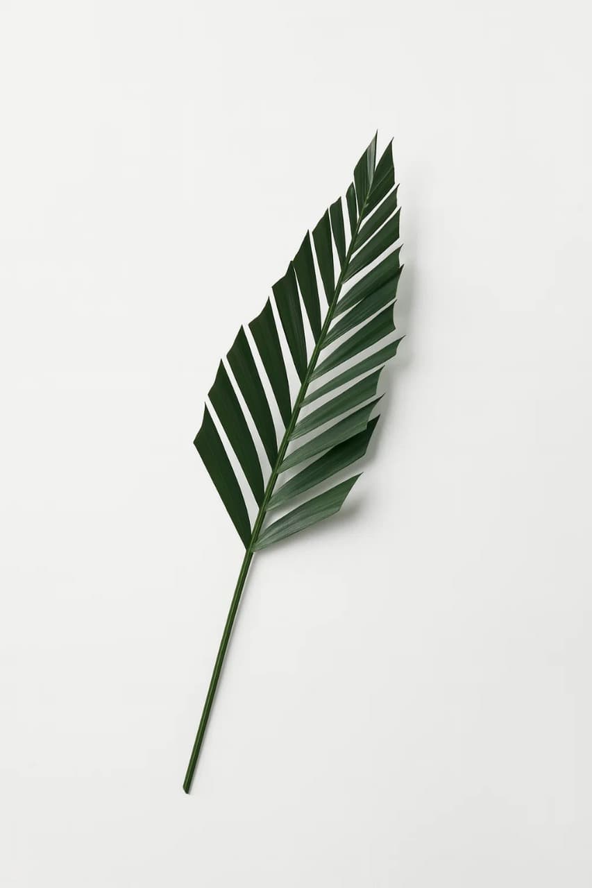 Palm Arrow Green