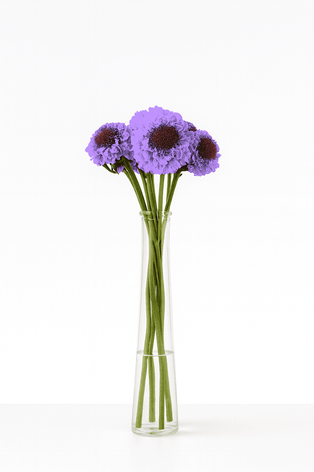 Focal Scoop Lavender 60cm