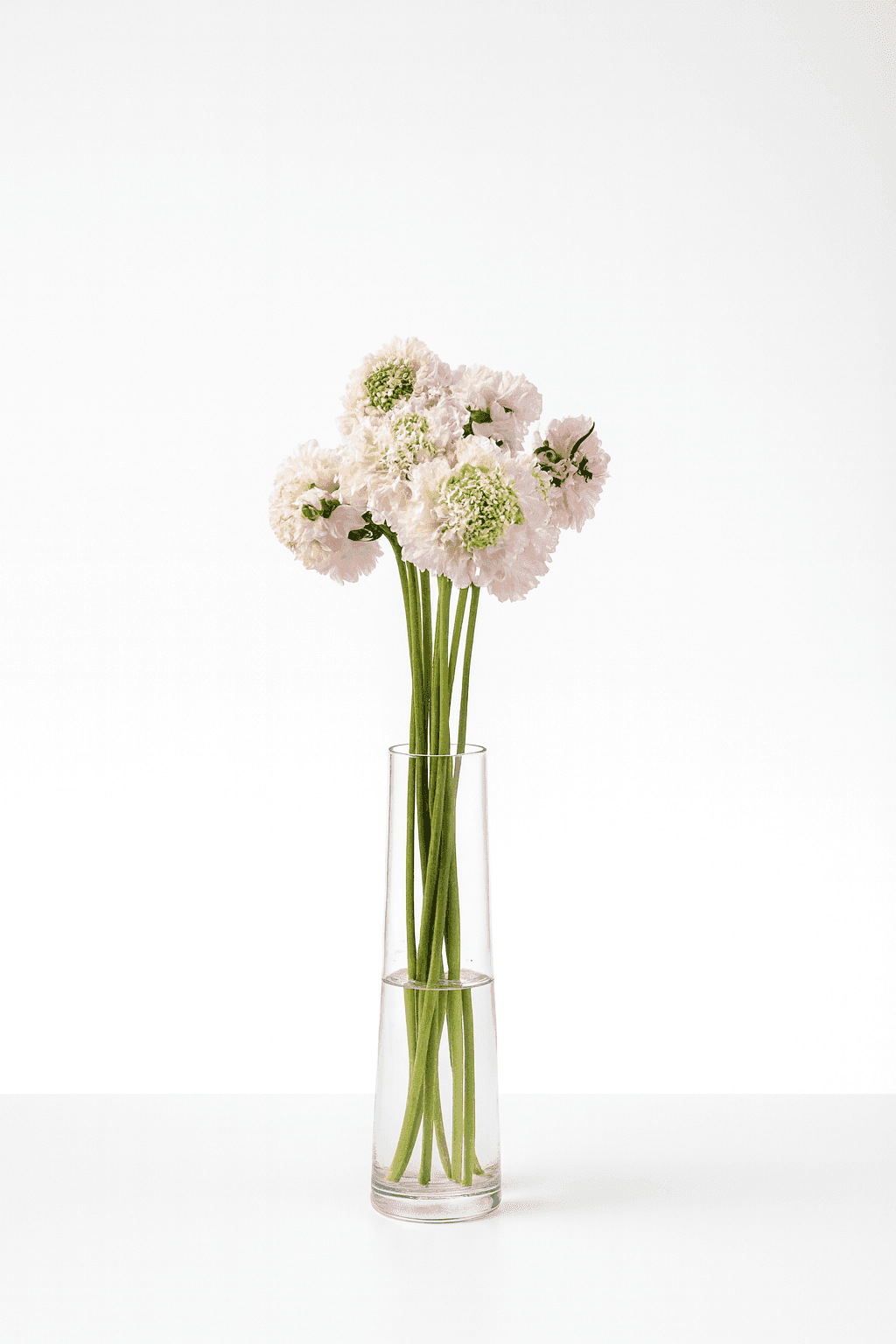 Bon Bon Light Pink 55-60cm