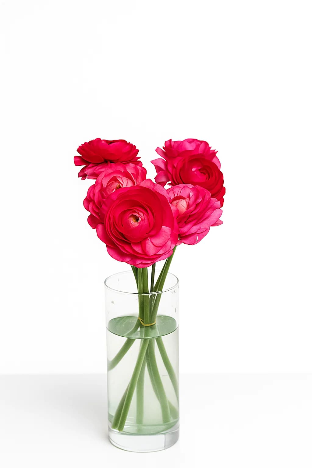 Elegance Hot Pink