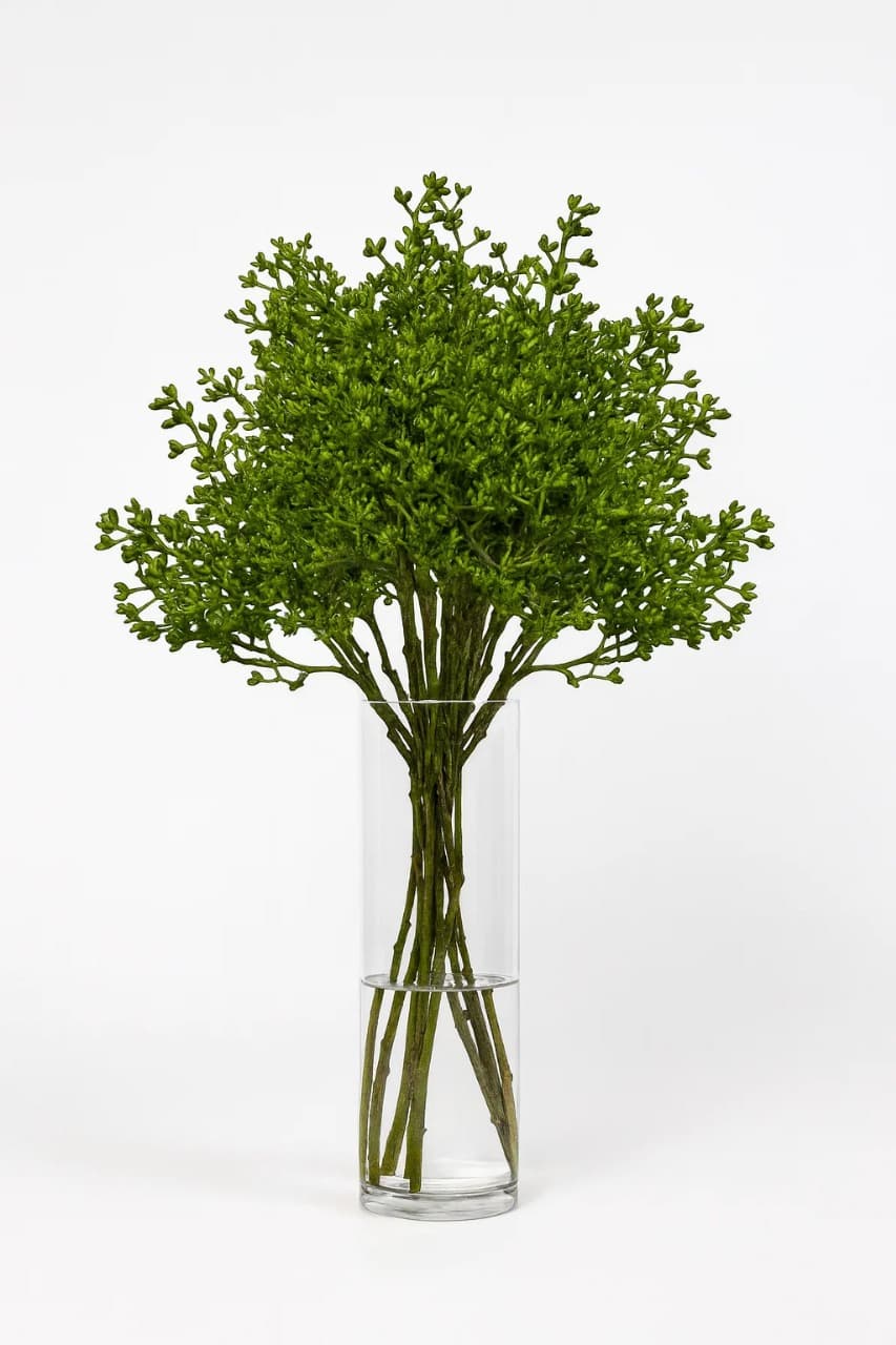 Eucalyptus fresh doll cluster Green 50