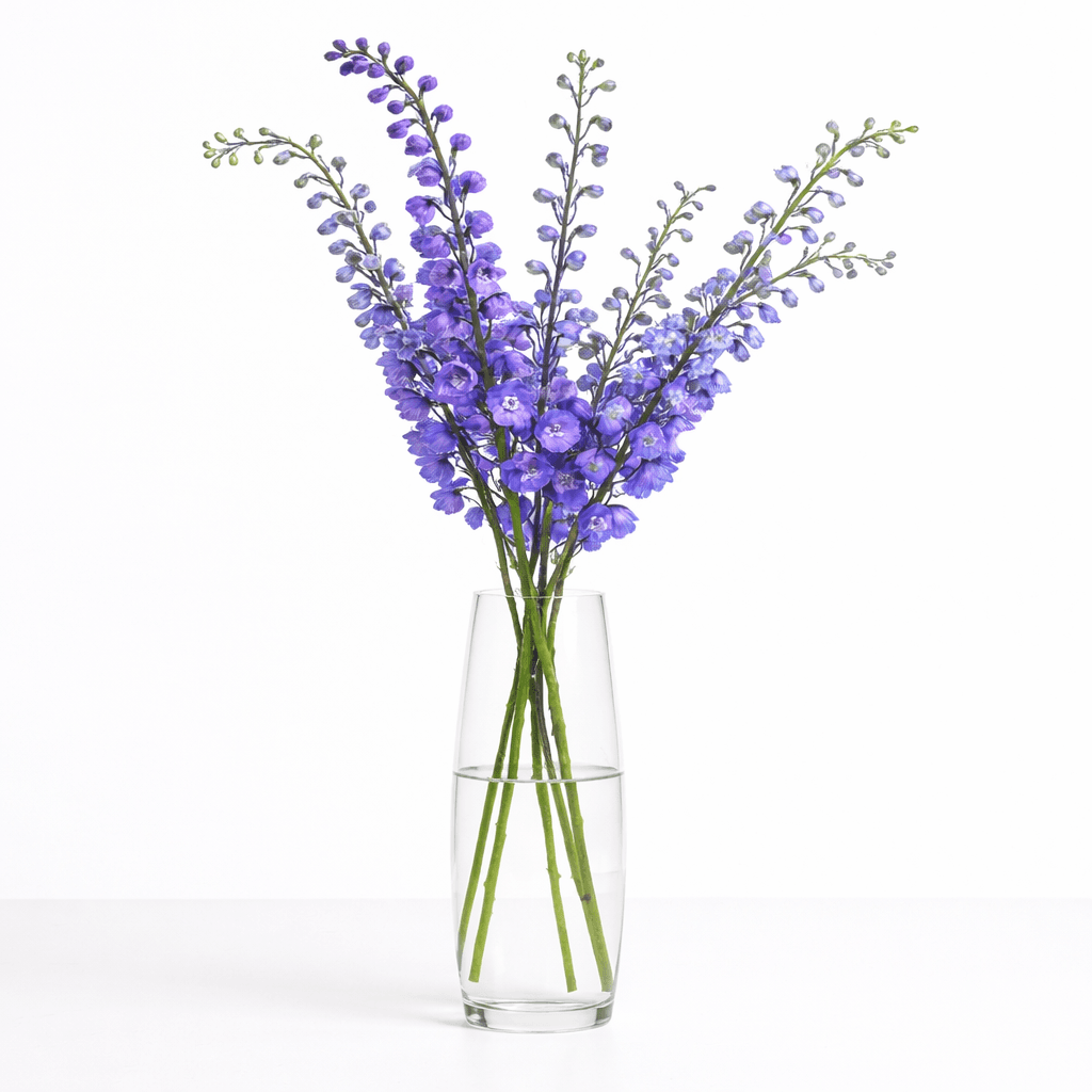 Delphinium Blue Blue Bird 80-90CM