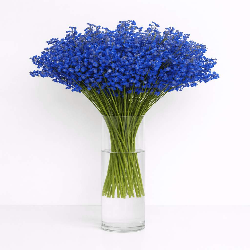 Delphinium Dark Blue Sea Waltz 90CM