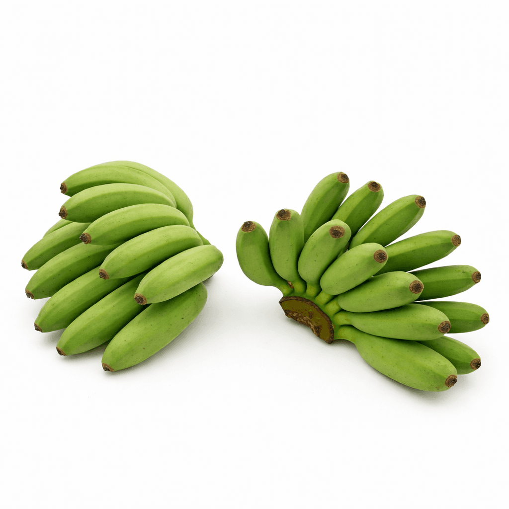 Novelty Tropicals Banana Fingers Green