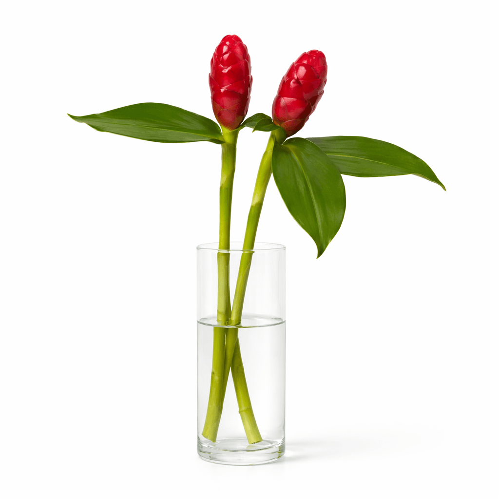 French Kiss Red