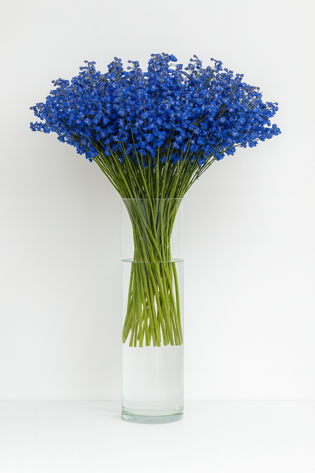 Delphinium — blue, white, lavender