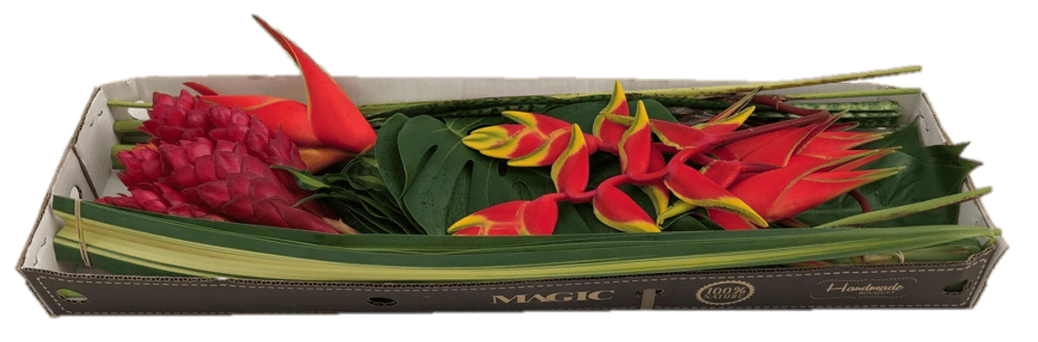 Combo Box Mini Fire Assorted Wholesale Mixed Boxes — $66.45/stem (10% ...