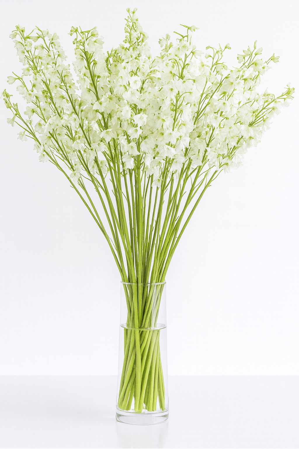 Bella Andes White 60cm